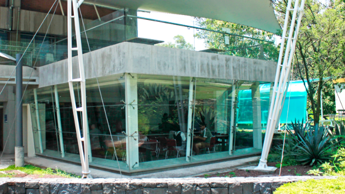 Biblioteca. Instituto de Ecología